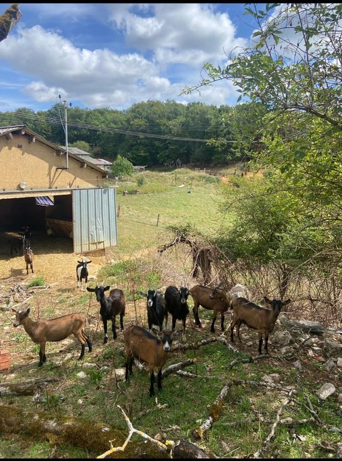 Gite Atypique Borrèze Εξωτερικό φωτογραφία