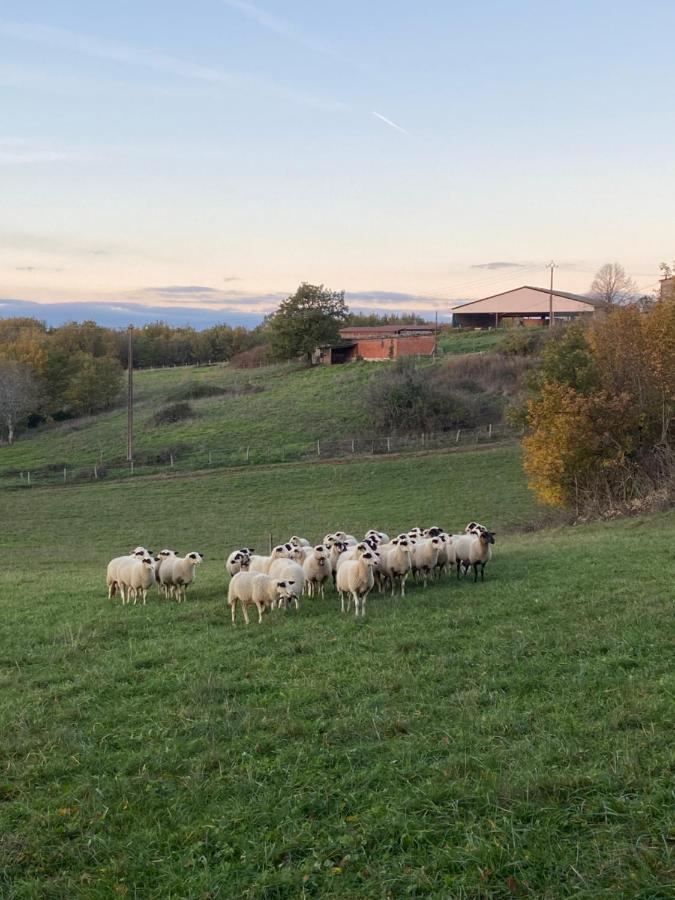 Gite Atypique Borrèze Εξωτερικό φωτογραφία